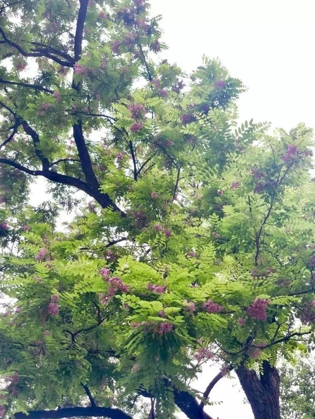 成年人的世界,什麼情緒什麼命