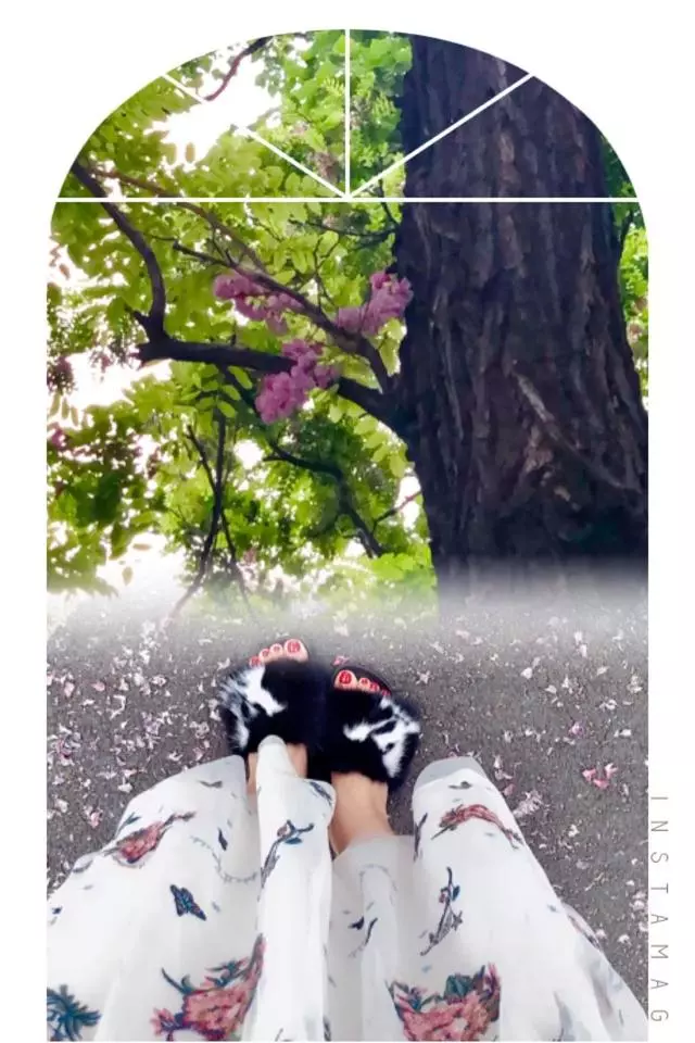 成年人的世界,什麼情緒什麼命