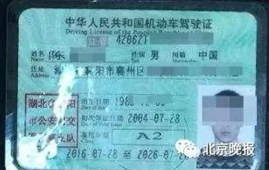 男子帶「假駕照」遭逮捕回警局 父母竟大罵:他才31歲,只是個孩子啊