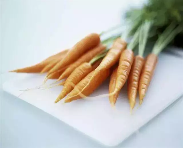 脂肪最怕6種鹼性食物,只要你能每天堅持吃,體重蹭蹭降下來