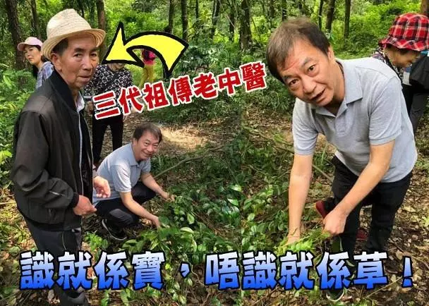 轉行做老中醫!62歲前TVB一線小生分享上山採藥片段大惹關注