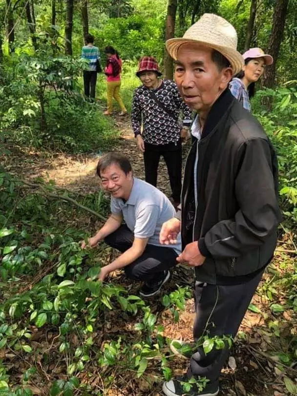 轉行做老中醫!62歲前TVB一線小生分享上山採藥片段大惹關注