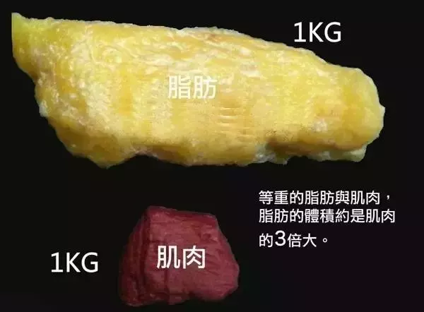 2個降低脂肪率的方法,跑步並不是唯一的選擇!
