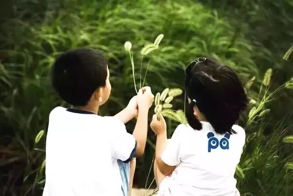 掙錢重要還是陪孩子重要?錯過了這幾年,父母等著後悔!