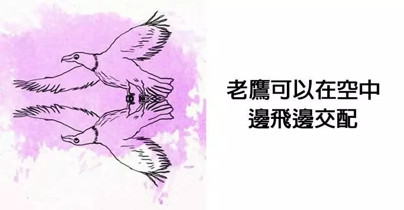 19個讓你開始懷疑自己人生的不合邏輯詭異事實