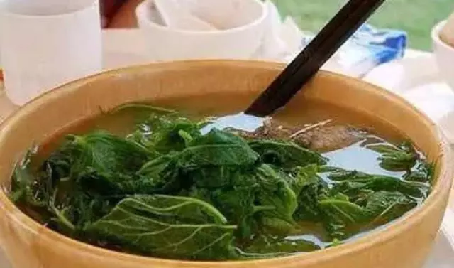 1種葉子泡水喝,緩解手腳麻木、消水腫、去除盜汗,體重輕了,人也精神了好多,老中醫自己都在喝