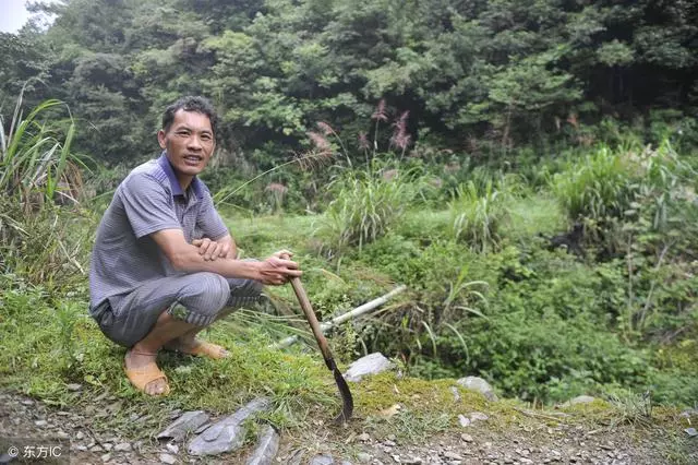 老公:你媽有錢,我問她借點錢怎麼了 我:向誰借都可以她就不行