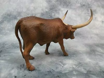 你家有屬牛的嗎?喜報喜報!今日有大喜,快出來接喜