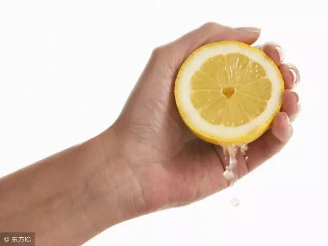 狗狗在家亂尿怎麼辦?養了3隻狗的鏟屎官來教你,包你一學就會