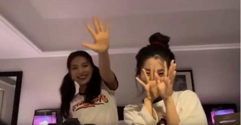 Red Velvet Joy直播到一半生氣到直接罵人!粉絲不感到錯愕還like爆女神舉動!