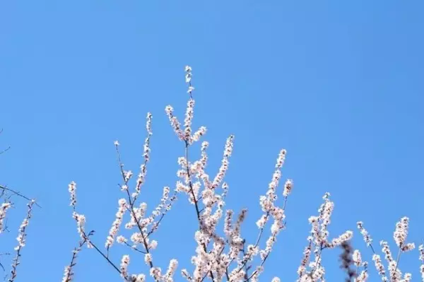 人生最可怕的是,在「本該努力」的年紀混日子:教你「3招」 杜絕混日子!