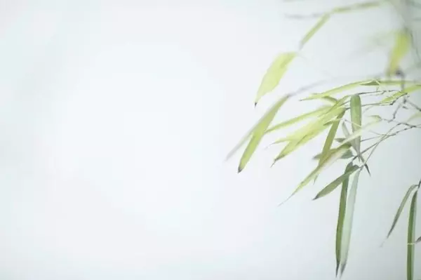 人生最可怕的是,在「本該努力」的年紀混日子:教你「3招」 杜絕混日子!