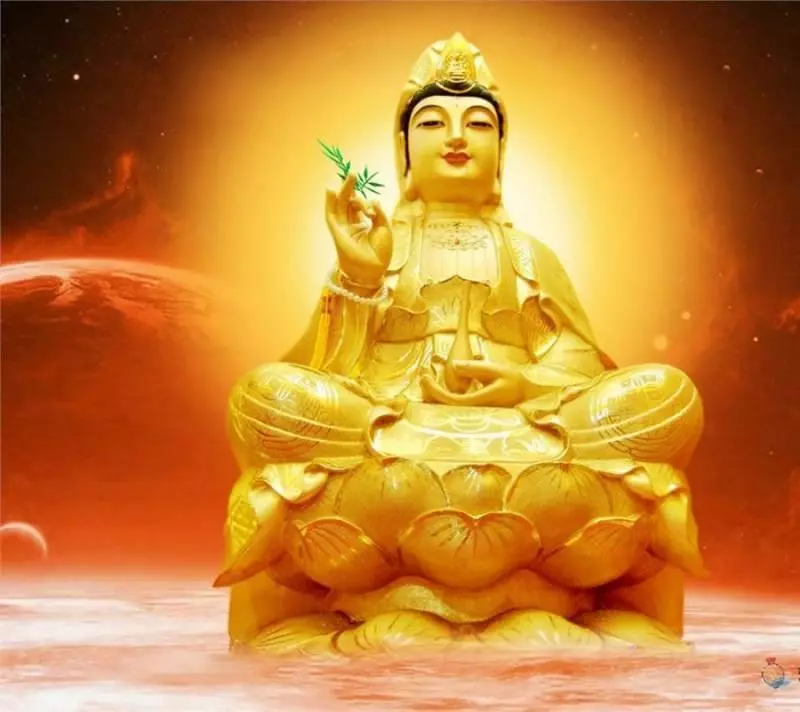 最有數錢命,一輩子不缺錢的生肖,數錢數到手抽筋!