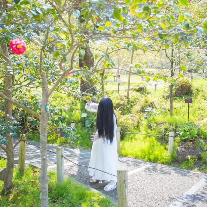 不爬電視了!經典恐怖女主『貞子』變陽光美少女? 狂Po旅遊美食照,還去剪頭髮!?