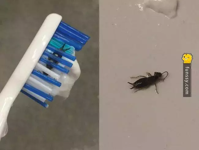 運氣,想必大家都想擁有,但真的那麼容易碰見嗎?17個運氣逆天的照片