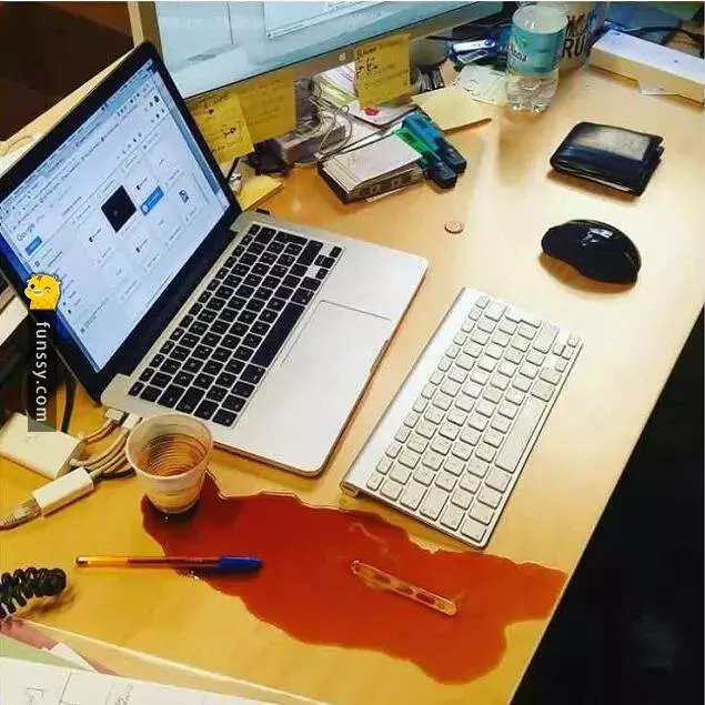 運氣,想必大家都想擁有,但真的那麼容易碰見嗎?17個運氣逆天的照片