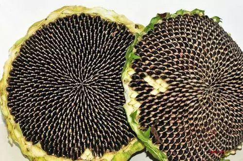 醫生建議:有肝病的人最好別貪吃五種食物,容易讓病情加重