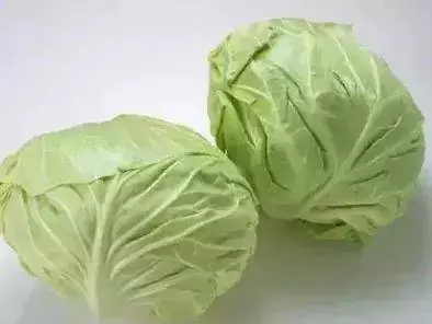這20種「純天然藥」一定要知道!別再吃減肥藥了,原來吃冬瓜也能減肥!