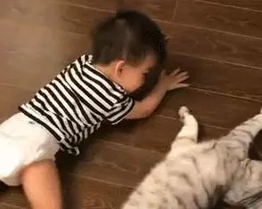 孩子睡夢中被驚醒,哭鬧不已,就當大家束手無策時,貓咪出場了!