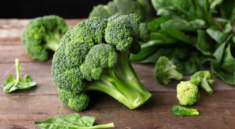 常吃 Broccoli 花椰菜原來有那麼多功效！可防ai、瘦身、抗衰老等！[ 附上10種食譜 ]