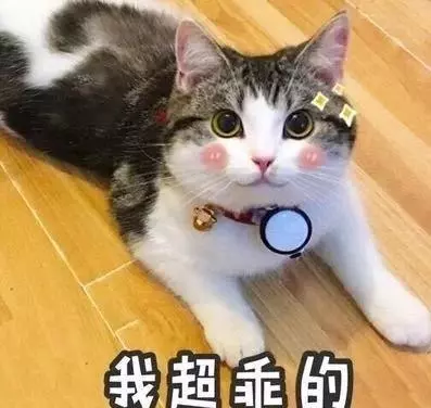 全球最大「禮物」,三歲小男孩拆開包裝,破金氏世界紀錄