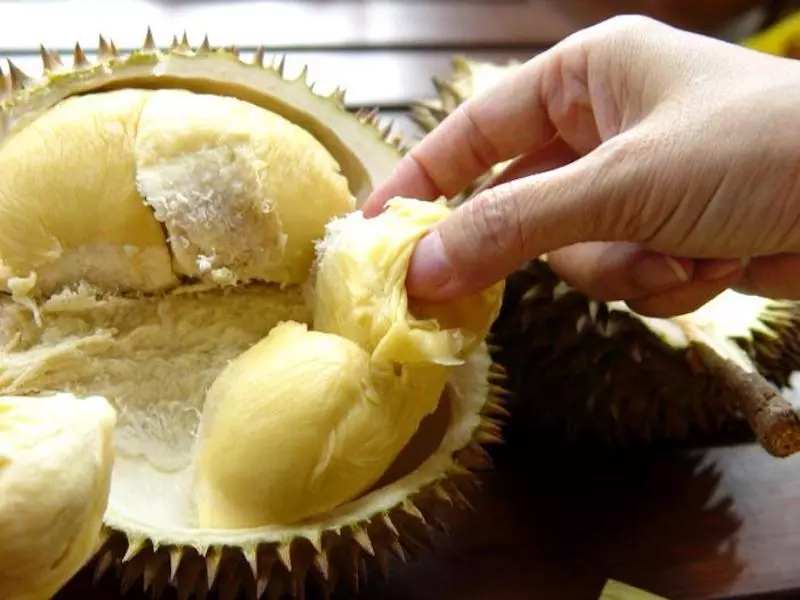 這樣的冰箱你可以嗎? 一張「有味道照片」網友反應超兩極:整台載去燒掉!