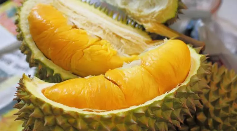 這樣的冰箱你可以嗎? 一張「有味道照片」網友反應超兩極:整台載去燒掉!