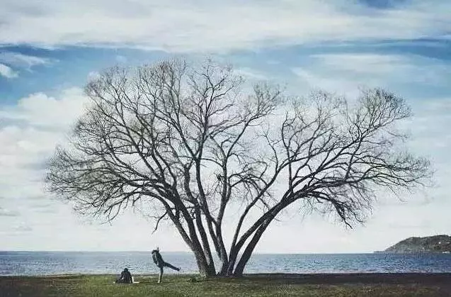 看透人生的14句話,有緣人點開,無緣人路過