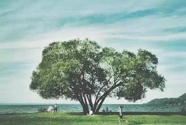 看透人生的14句話,有緣人點開,無緣人路過