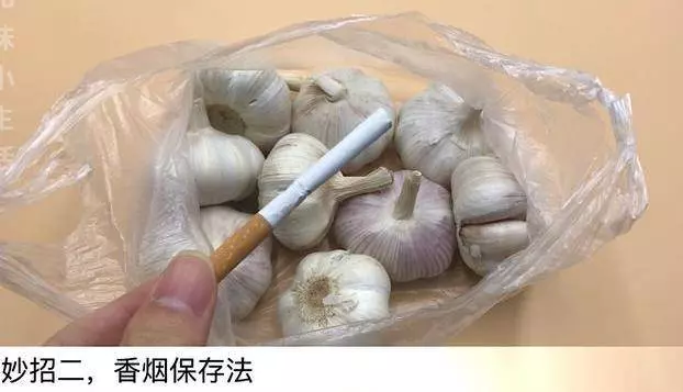原來保存大蒜這麼簡單,放一年不乾癟不發芽,再也不用花大價買了