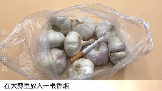 原來保存大蒜這麼簡單,放一年不乾癟不發芽,再也不用花大價買了