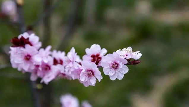 「借錢要忍,還錢要狠」,老祖宗留下的十句話,句句醒人,醍醐灌頂