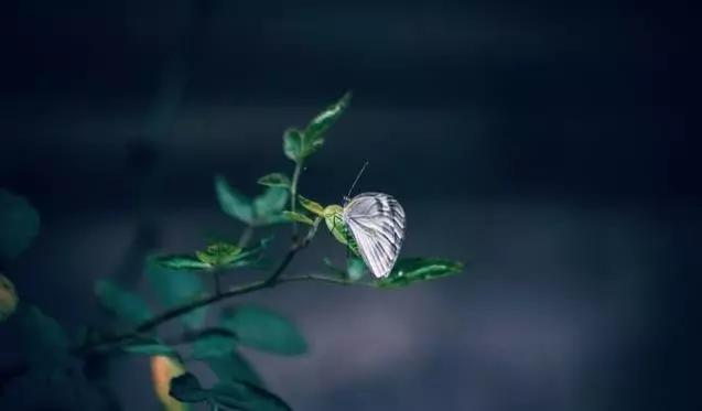 「借錢要忍,還錢要狠」,老祖宗留下的十句話,句句醒人,醍醐灌頂