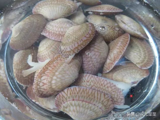 花甲別總是用來爆炒,試試這種夏天的家常湯做法,鮮美無沙無腥味