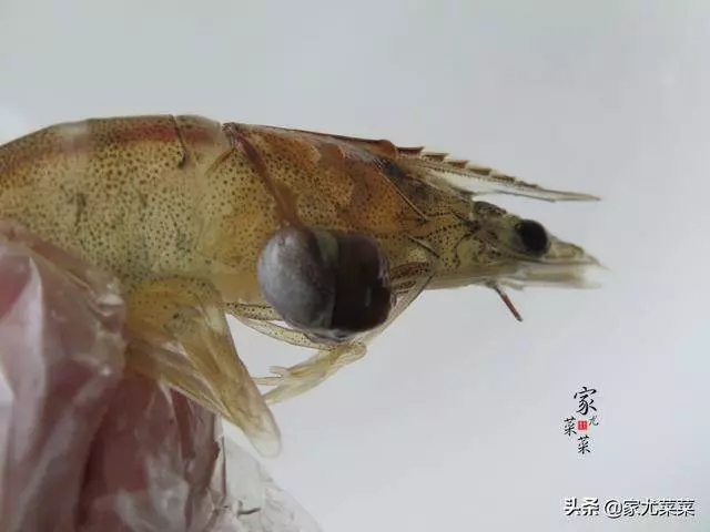 花甲別總是用來爆炒,試試這種夏天的家常湯做法,鮮美無沙無腥味