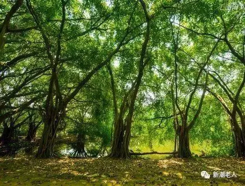不求子女不求人,一位60歲老人的生活感悟,值得收藏細讀!