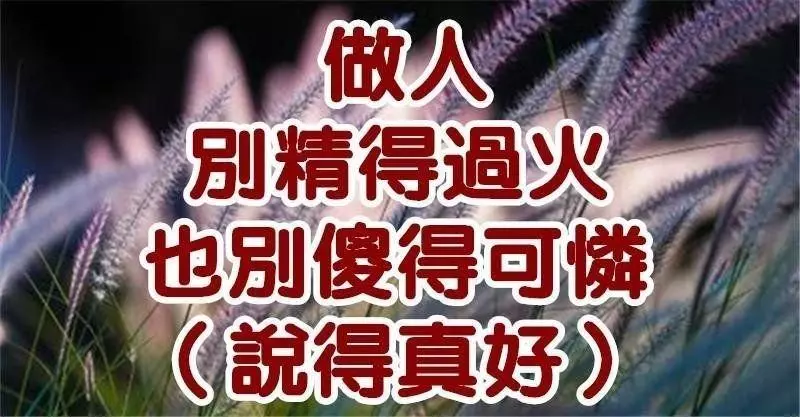 做人,別精得過火,也別傻得可憐(說得真好)