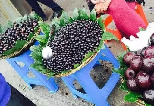 良心商販提醒:2種水果是人工合成的,含有大量添加劑,嚴重傷害身體,再饞也別吃了