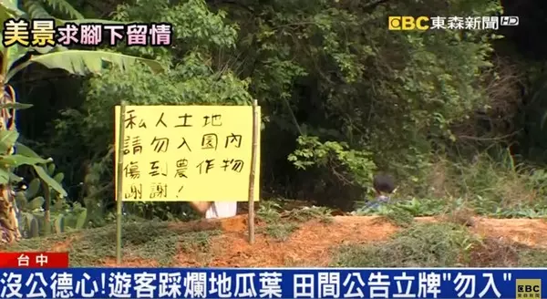 貼告示也沒用!台中85歲老夫婦「花5年種出綠色瀑布」就怕土石流 萬人朝聖打卡「作物全被踩壞」
