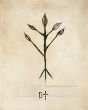 每一個姓氏都有專屬的圖騰,意義大不同,看看你的姓氏圖騰是什麼?