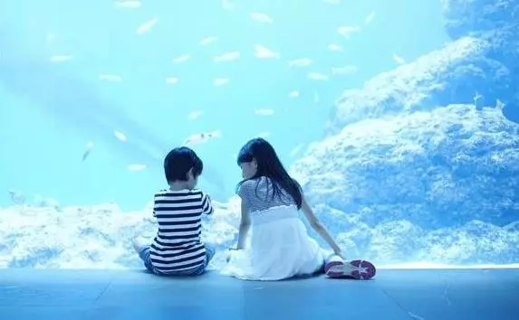 「乾道成男,坤道成女」一個家庭的風水,是靠全家人一起修來的