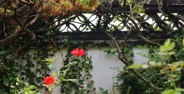 得寸進尺的人,我不會一次次讓步,變本加厲的人,我不會一次次包容