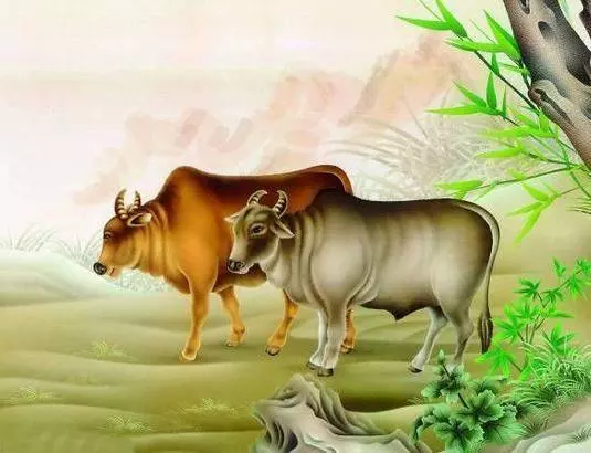 五月份:家有這六個生肖的必發!你家有嗎?命太好了