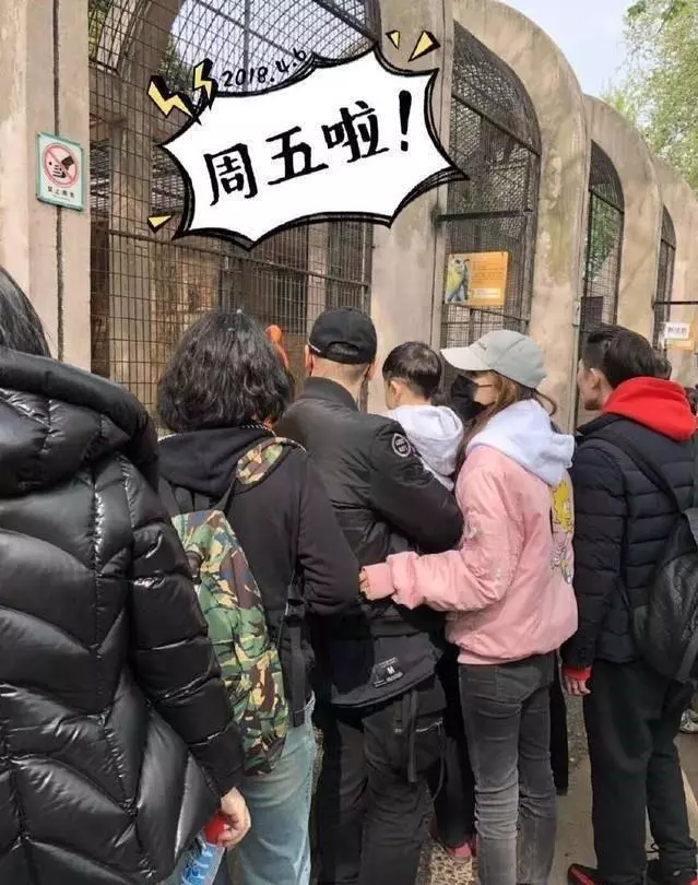 偶遇Baby攜兒子遊動物園,路人鏡頭下女神素顏很抗打!