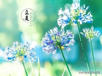 立夏養生「五要三不要」 養心試試「手指操」