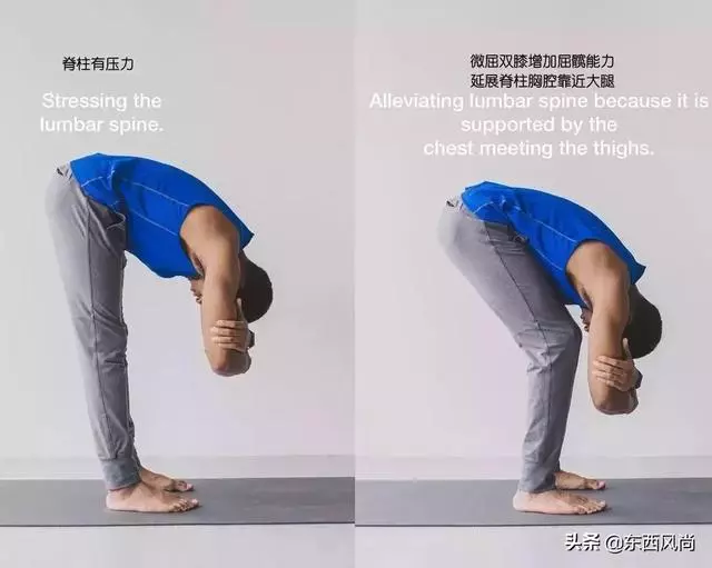 男性練瑜伽很重要,13個瑜伽基礎體式