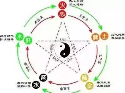 讀《黃帝內經》知曉心，肝，脾，肺，腎保養的竅門