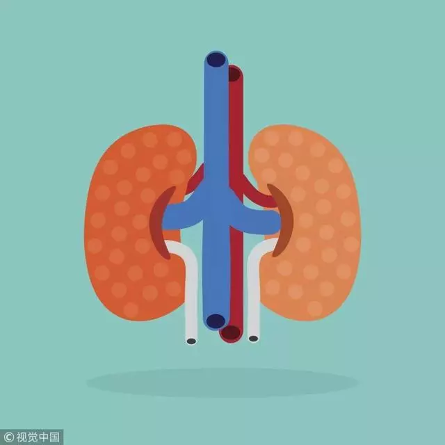 讀《黃帝內經》知曉心，肝，脾，肺，腎保養的竅門