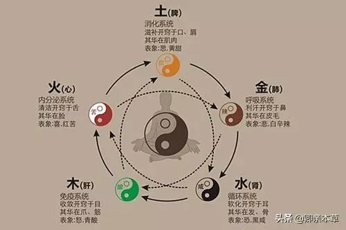 肝火擾心,心膽氣虛,肝腎陰虛三大類型失眠!中醫五行幫你解決