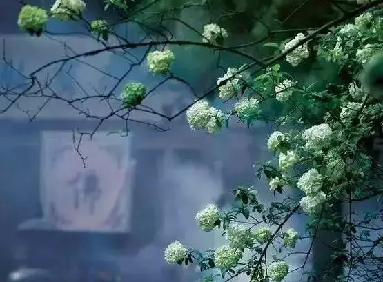 當人死了,奈何橋上經過的地方看醒了很多人